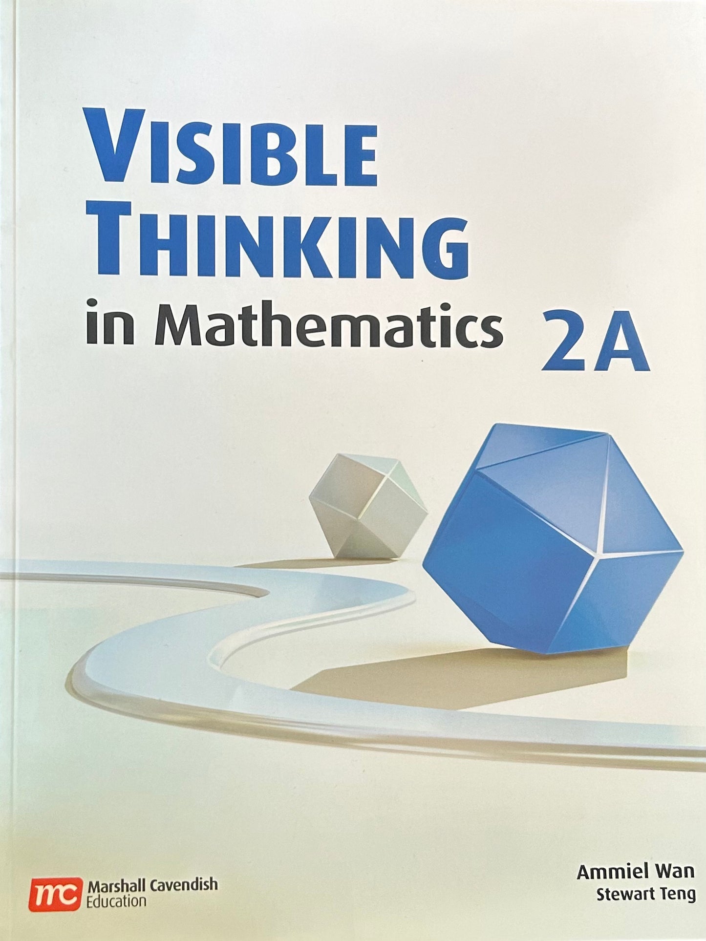 Visible Thinking in Mathematics, Level 2A