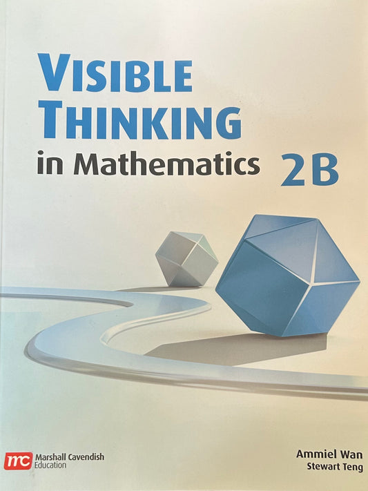 Visible Thinking in Mathematics, Level 2B